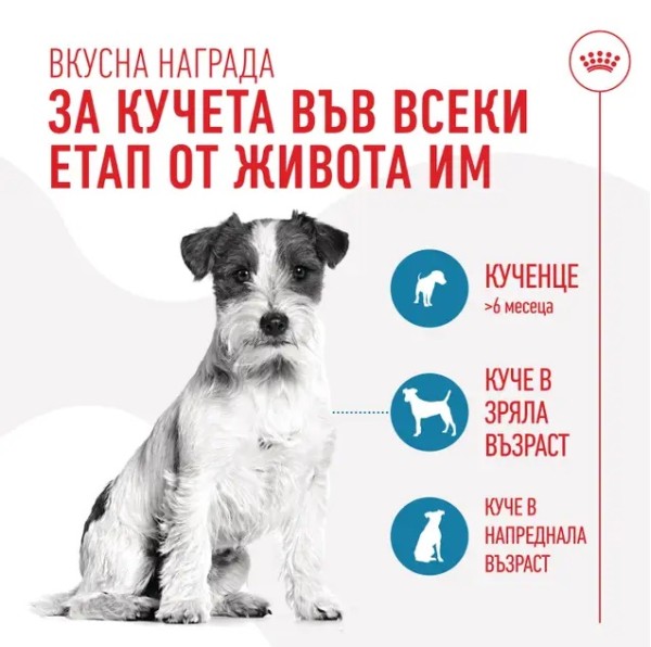Royal Canin Training Treats - Лакомства за куче - 110 гр